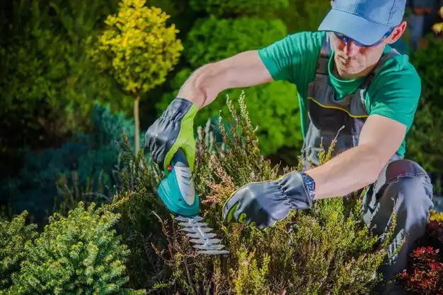 landscaping services Goodman